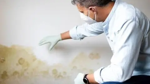 Man in a mask and gloves inspecting a stained, moldy wall