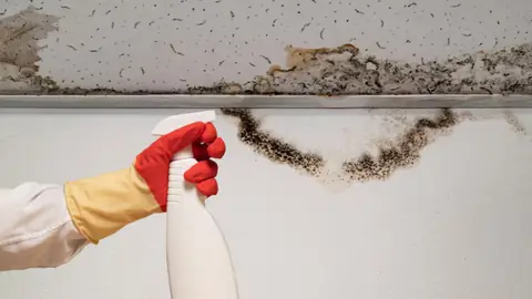 Gloved hand holding a spray bottle below mold along a ceiling edge