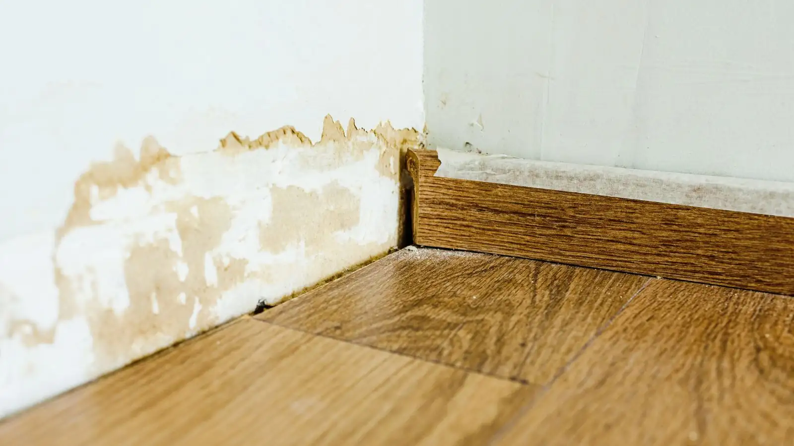 Water stain on a wall above a baseboard and wood floor