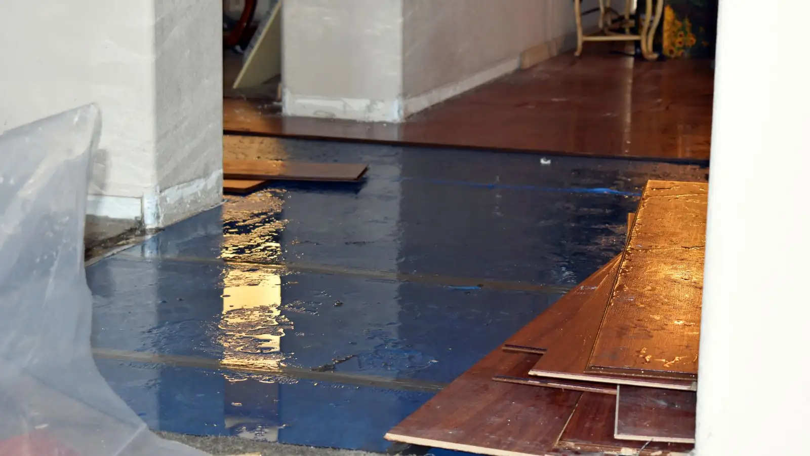 Wood flooring planks lifted from a wet subfloor beside plastic sheeting
