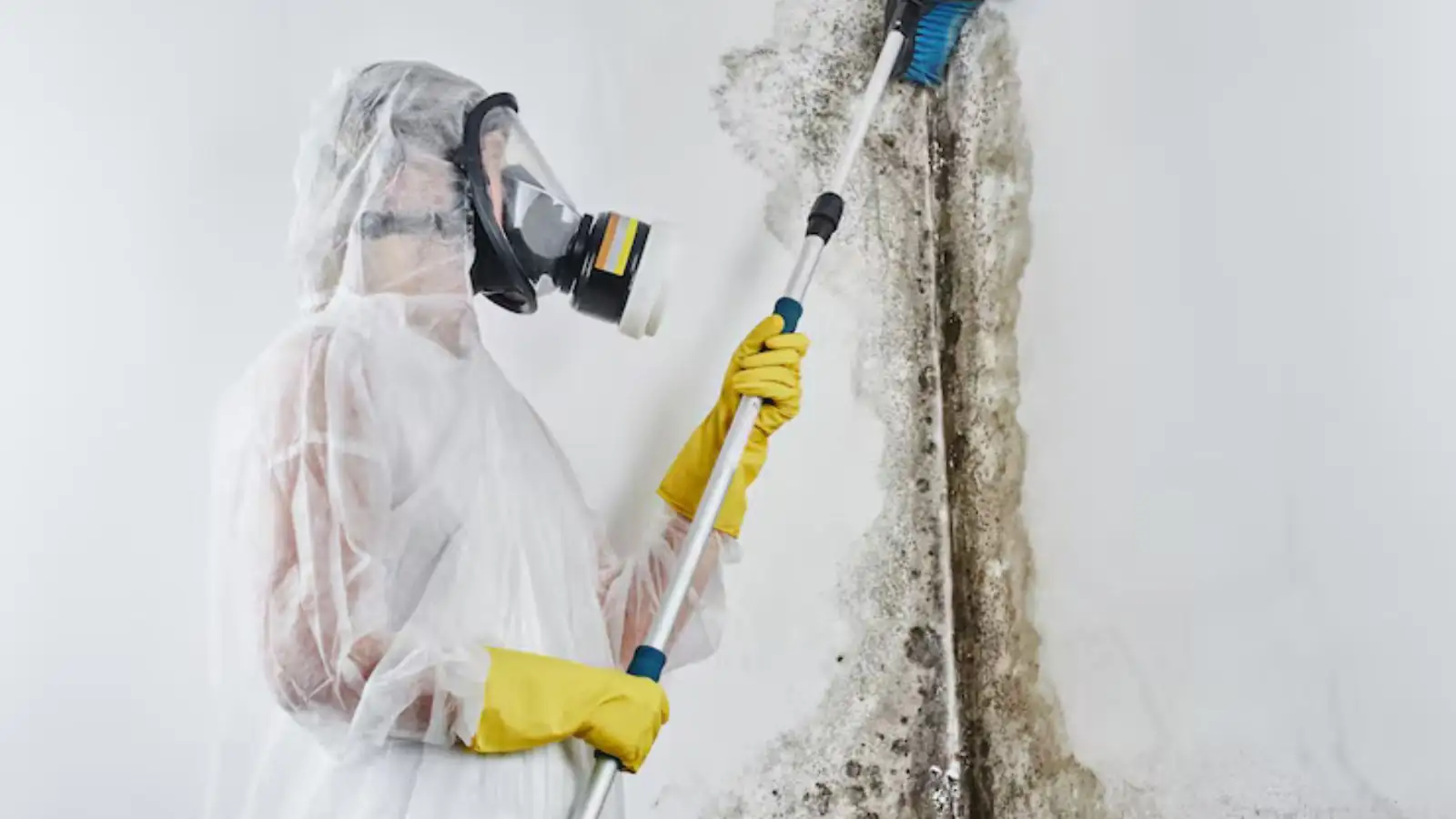 Worker in a protective suit and respirator cleaning mold from a wall with a pole